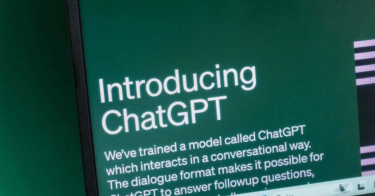 Программы лояльности казино без депозита для мудрого выбора